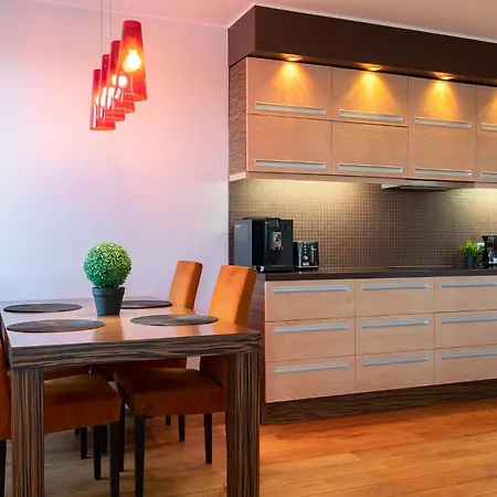 Spacious Penthouse With A Good View In Downtown 公寓 塔尔图