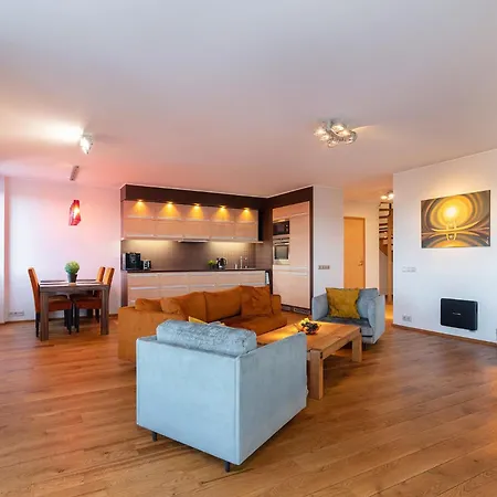 Spacious Penthouse With A Good View In Downtown 塔尔图