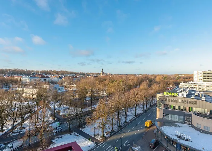 Spacious Penthouse With A Good View In Downtown